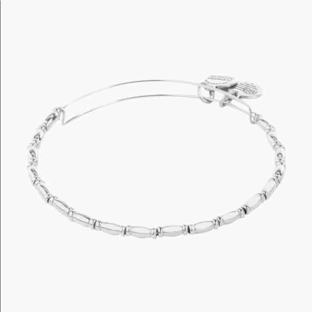 Reed Expandable Bangle || ALEX AND ANI 🎁